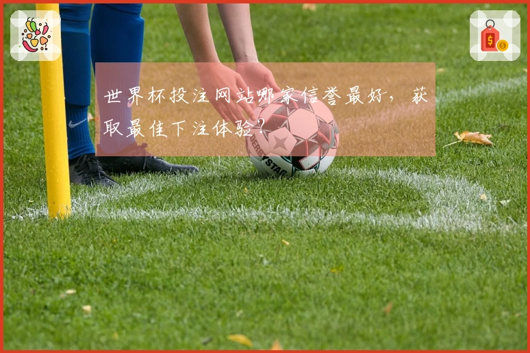 世界杯投注网站哪家信誉最好，获取最佳下注体验？