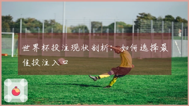 世界杯投注现状剖析：如何选择最佳投注入口