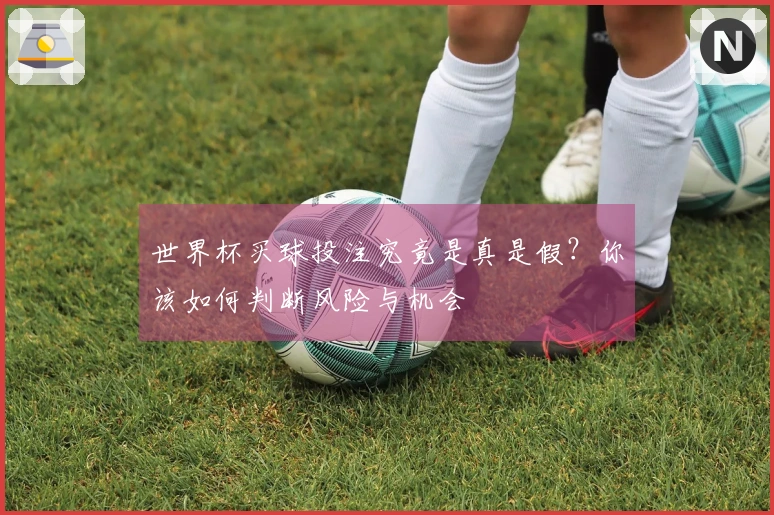 世界杯买球投注究竟是真是假？你该如何判断风险与机会