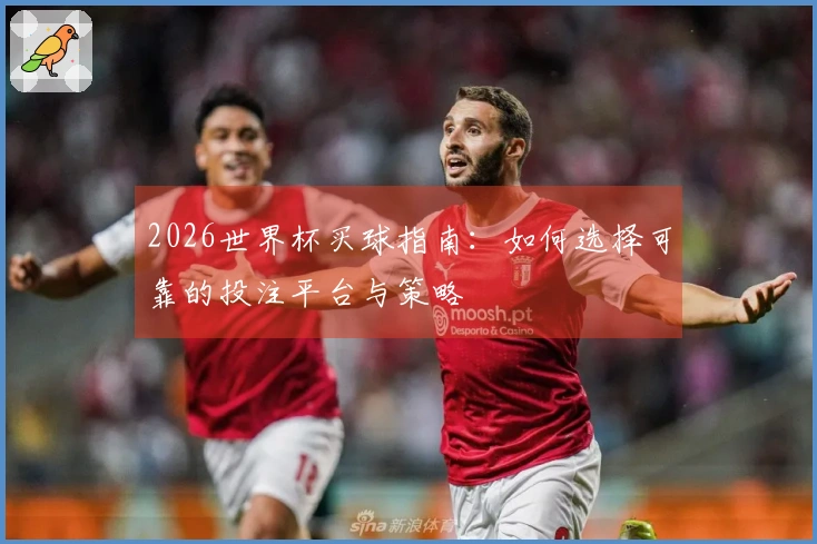 2026世界杯买球指南：如何选择可靠的投注平台与策略