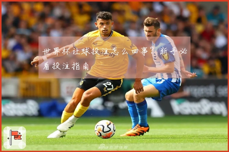世界杯让球投注怎么回事?新手必看投注指南
