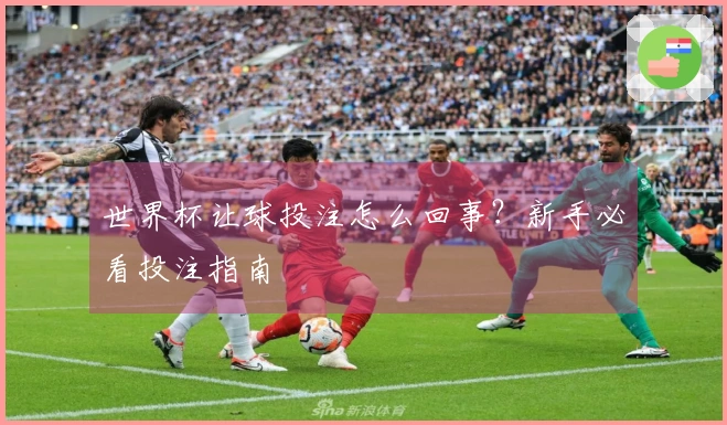 世界杯让球投注怎么回事？新手必看投注指南