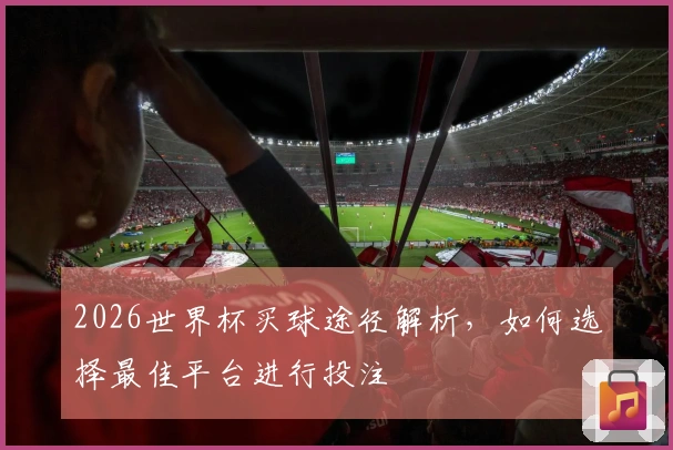 2026世界杯买球途径解析，如何选择最佳平台进行投注