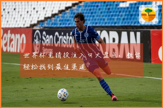 世界杯竞猜投注入口大盘点，教你轻松找到最佳渠道