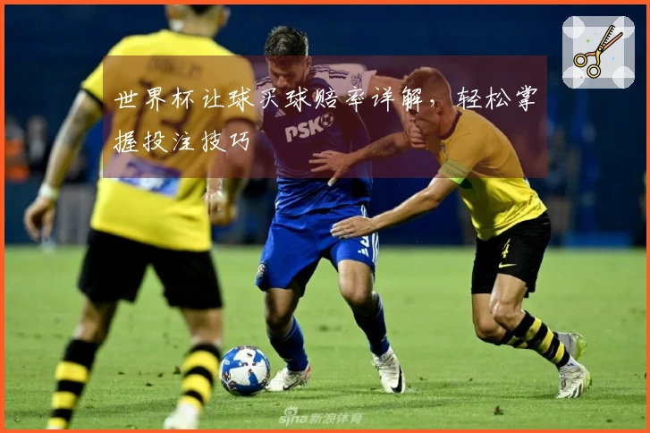 世界杯让球买球赔率详解，轻松掌握投注技巧