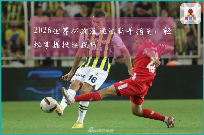 2026世界杯投注玩法新手指南，轻松掌握投注技巧