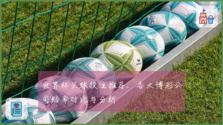 世界杯买球投注推荐：各大博彩公司赔率对比与分析