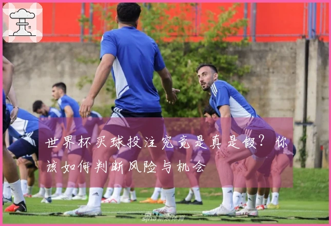世界杯买球投注究竟是真是假？你该如何判断风险与机会