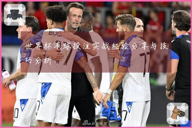 世界杯滚球投注实战经验分享与技巧分析