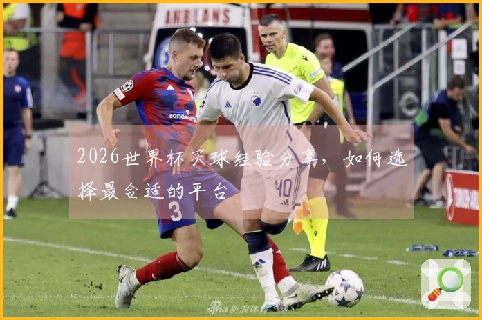 2026世界杯买球经验分享，如何选择最合适的平台