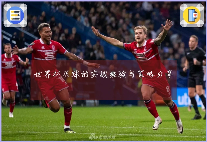 世界杯买球的实战经验与策略分享
