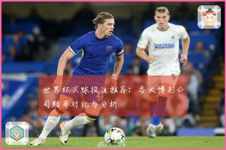 世界杯买球投注推荐：各大博彩公司赔率对比与分析