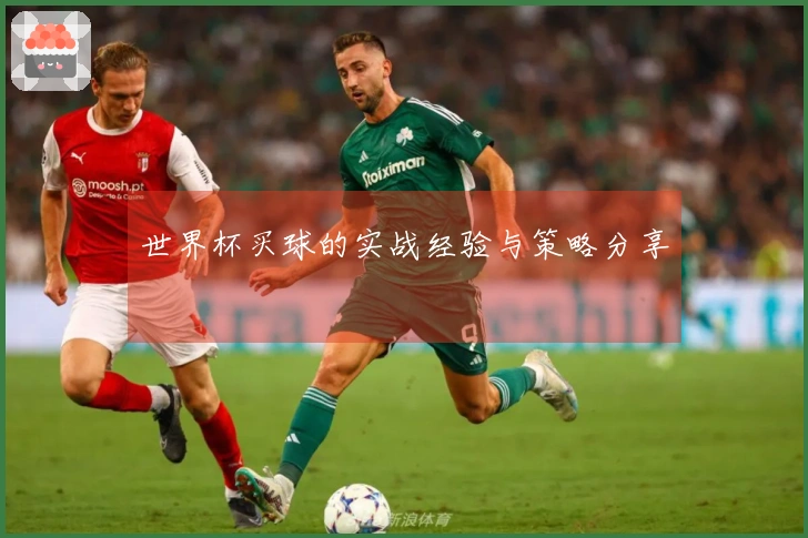 世界杯买球的实战经验与策略分享