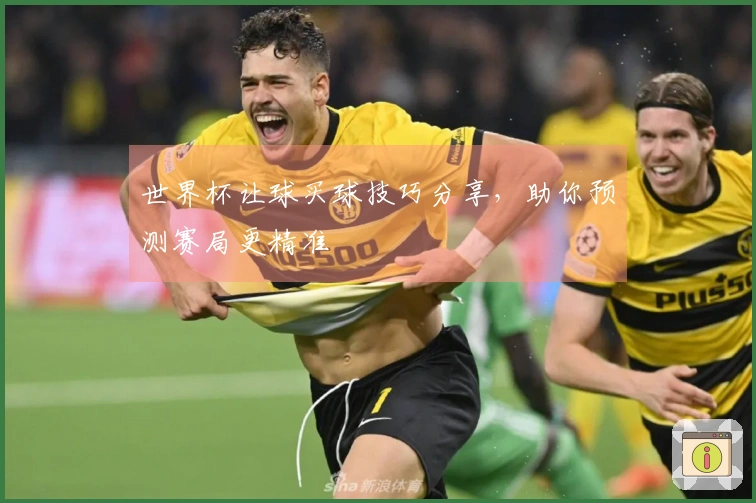 世界杯让球买球技巧分享，助你预测赛局更精准